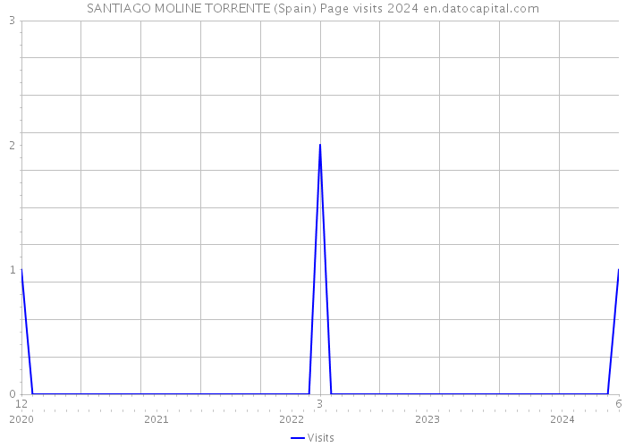 SANTIAGO MOLINE TORRENTE (Spain) Page visits 2024 