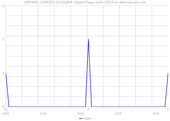 AMPARO GARRIDO AGUILERA (Spain) Page visits 2024 