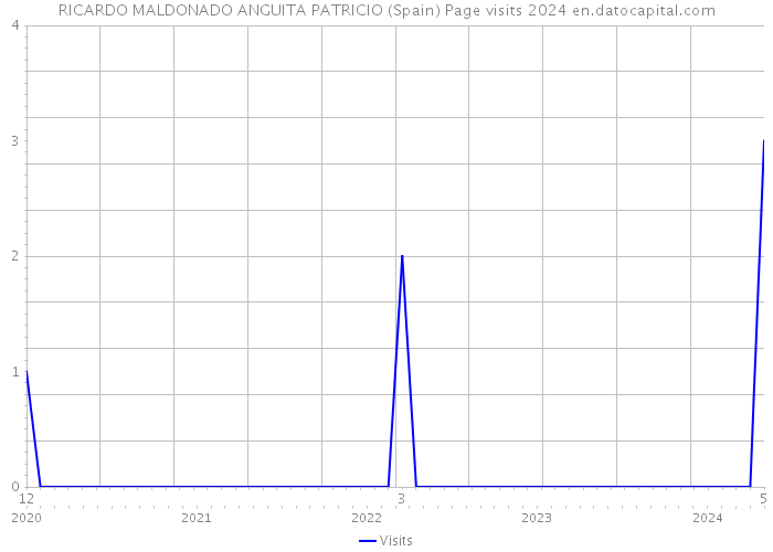 RICARDO MALDONADO ANGUITA PATRICIO (Spain) Page visits 2024 