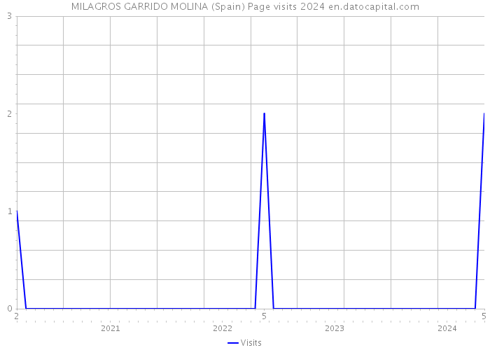 MILAGROS GARRIDO MOLINA (Spain) Page visits 2024 