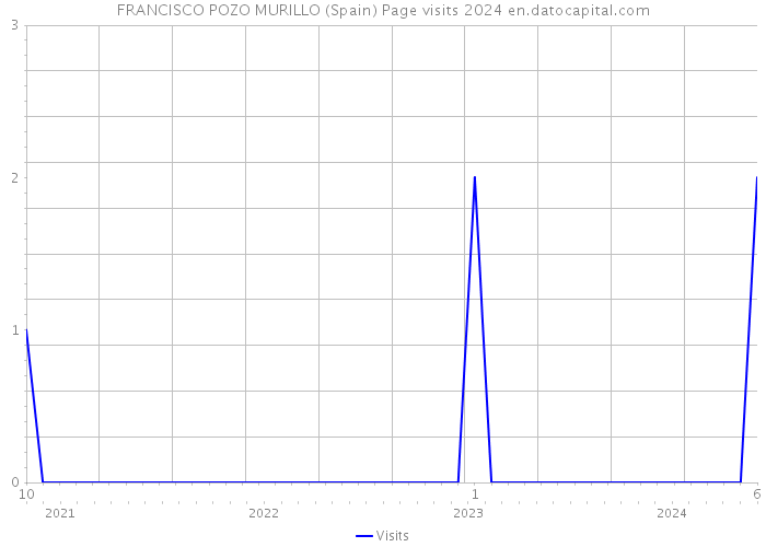 FRANCISCO POZO MURILLO (Spain) Page visits 2024 