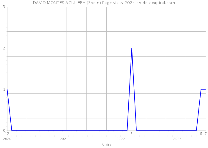 DAVID MONTES AGUILERA (Spain) Page visits 2024 