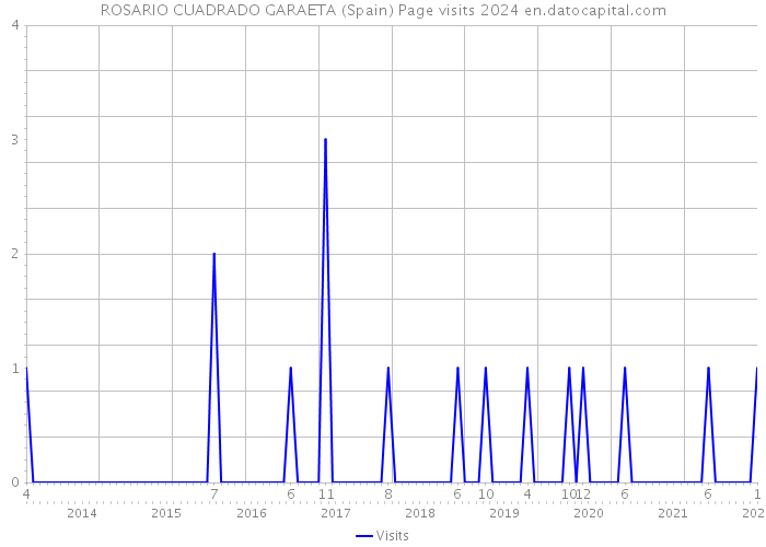ROSARIO CUADRADO GARAETA (Spain) Page visits 2024 