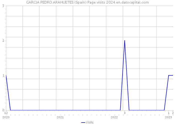 GARCIA PEDRO ARAHUETES (Spain) Page visits 2024 