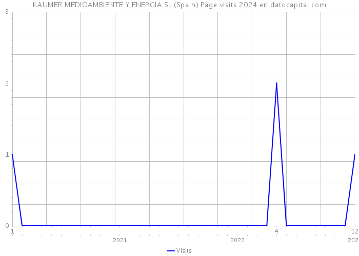 KAUMER MEDIOAMBIENTE Y ENERGIA SL (Spain) Page visits 2024 