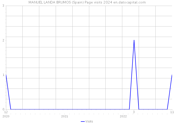 MANUEL LANDA BRUMOS (Spain) Page visits 2024 