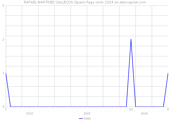 RAFAEL MARTINEZ GALLEGOS (Spain) Page visits 2024 