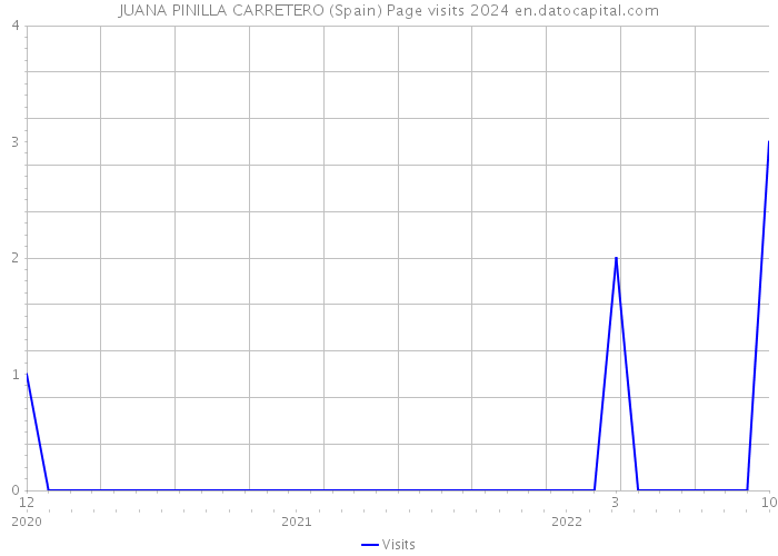 JUANA PINILLA CARRETERO (Spain) Page visits 2024 