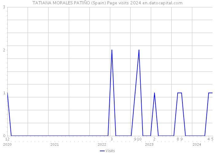 TATIANA MORALES PATIÑO (Spain) Page visits 2024 