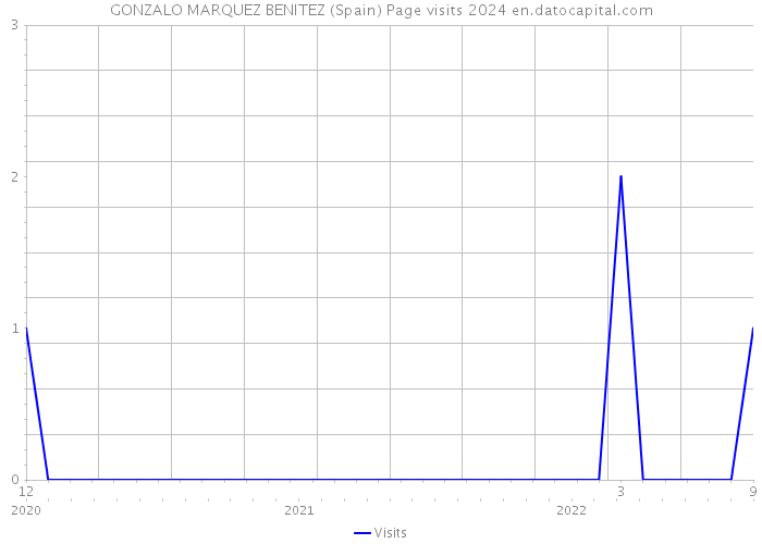 GONZALO MARQUEZ BENITEZ (Spain) Page visits 2024 
