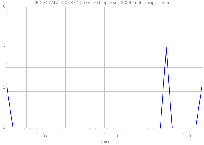 PEDRO GARCIA SOBRINO (Spain) Page visits 2024 