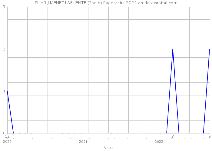 PILAR JIMENEZ LAFUENTE (Spain) Page visits 2024 