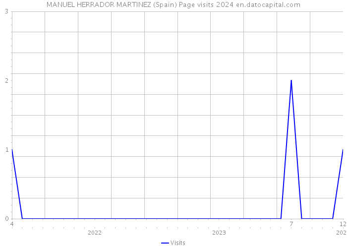 MANUEL HERRADOR MARTINEZ (Spain) Page visits 2024 