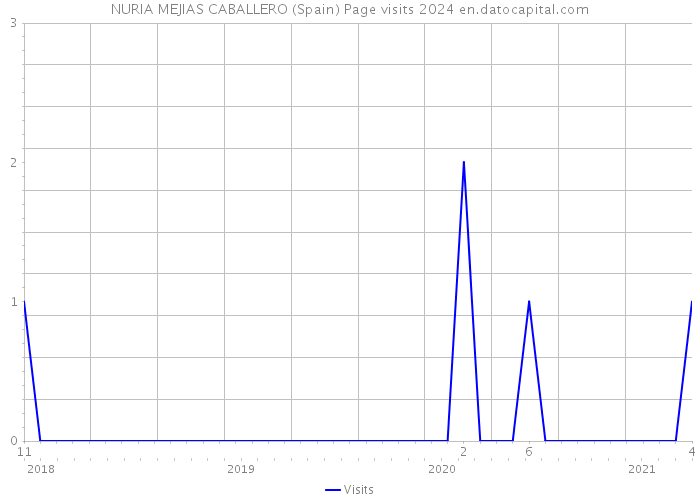NURIA MEJIAS CABALLERO (Spain) Page visits 2024 