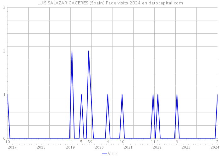 LUIS SALAZAR CACERES (Spain) Page visits 2024 