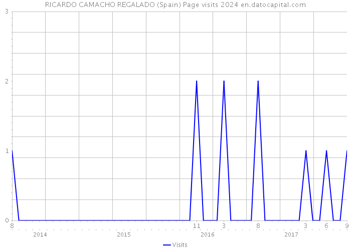RICARDO CAMACHO REGALADO (Spain) Page visits 2024 
