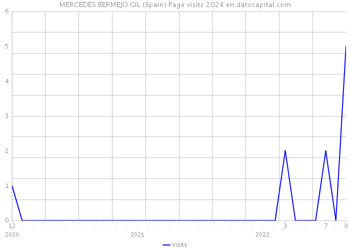 MERCEDES BERMEJO GIL (Spain) Page visits 2024 