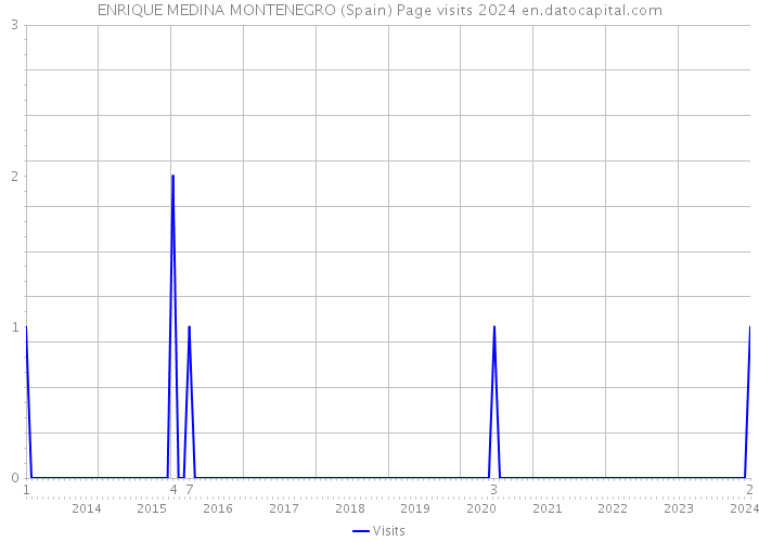 ENRIQUE MEDINA MONTENEGRO (Spain) Page visits 2024 