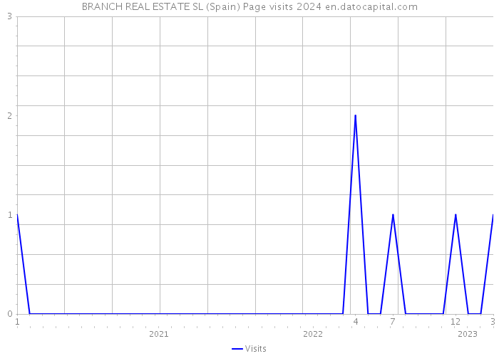 BRANCH REAL ESTATE SL (Spain) Page visits 2024 