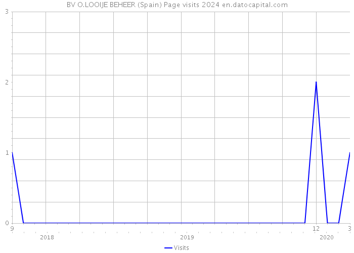 BV O.LOOIJE BEHEER (Spain) Page visits 2024 