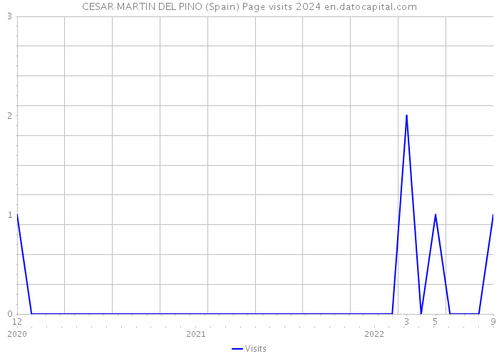 CESAR MARTIN DEL PINO (Spain) Page visits 2024 