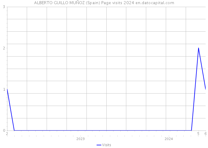 ALBERTO GUILLO MUÑOZ (Spain) Page visits 2024 