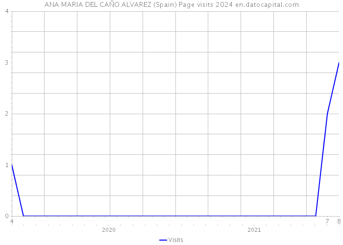 ANA MARIA DEL CAÑO ALVAREZ (Spain) Page visits 2024 