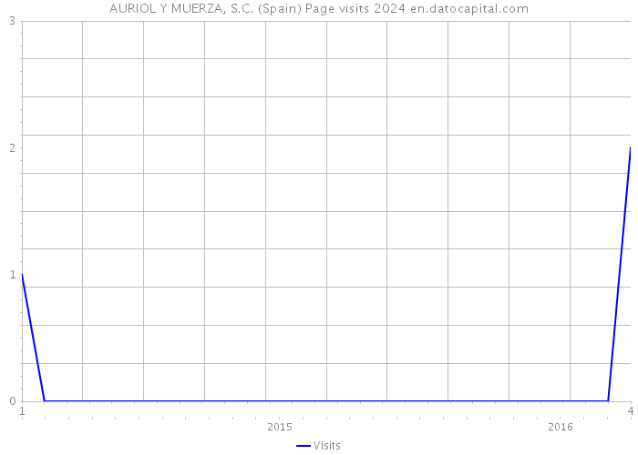 AURIOL Y MUERZA, S.C. (Spain) Page visits 2024 