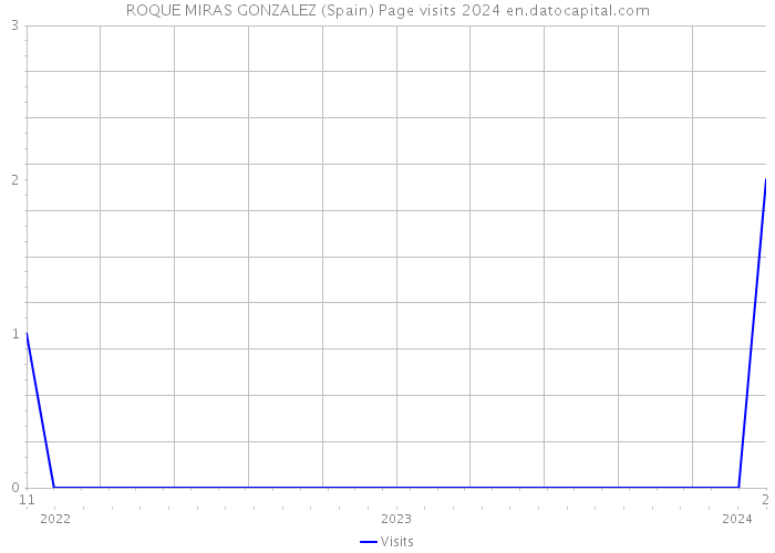 ROQUE MIRAS GONZALEZ (Spain) Page visits 2024 
