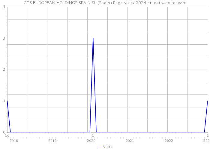 GTS EUROPEAN HOLDINGS SPAIN SL (Spain) Page visits 2024 