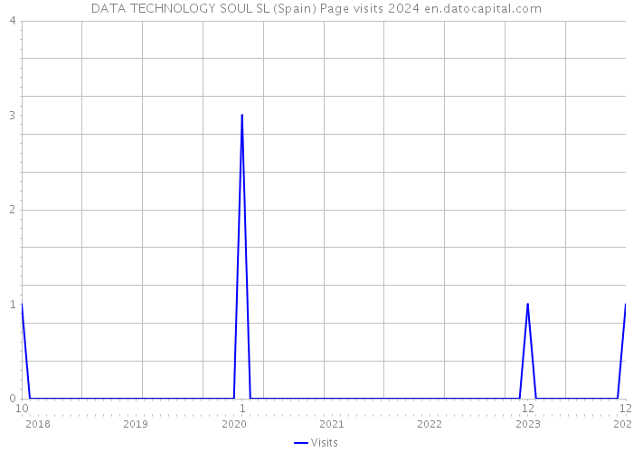 DATA TECHNOLOGY SOUL SL (Spain) Page visits 2024 