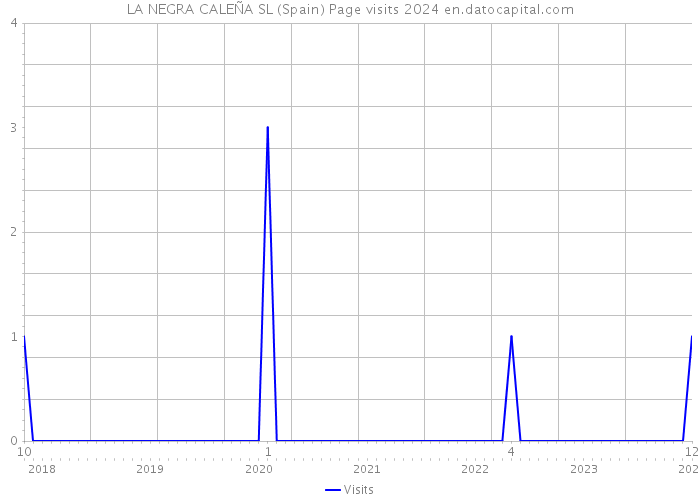 LA NEGRA CALEÑA SL (Spain) Page visits 2024 