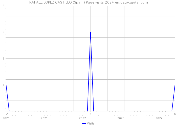 RAFAEL LOPEZ CASTILLO (Spain) Page visits 2024 