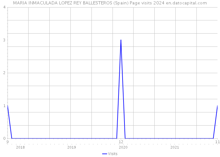 MARIA INMACULADA LOPEZ REY BALLESTEROS (Spain) Page visits 2024 