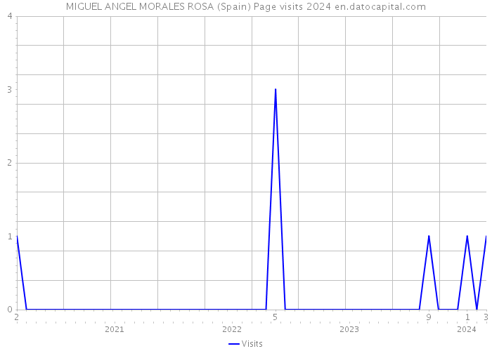 MIGUEL ANGEL MORALES ROSA (Spain) Page visits 2024 