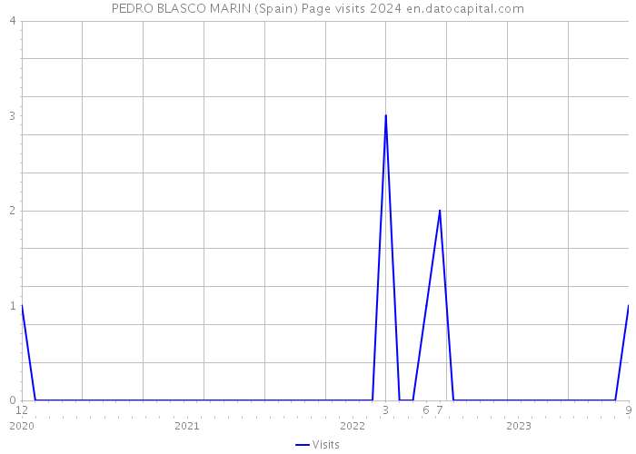 PEDRO BLASCO MARIN (Spain) Page visits 2024 