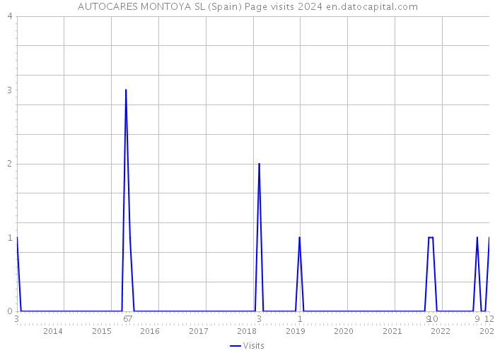 AUTOCARES MONTOYA SL (Spain) Page visits 2024 