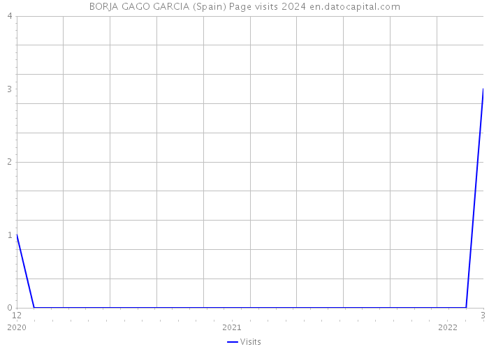 BORJA GAGO GARCIA (Spain) Page visits 2024 