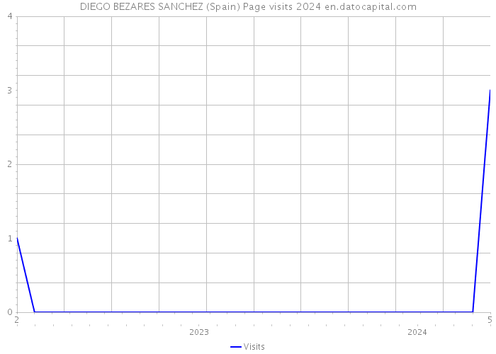 DIEGO BEZARES SANCHEZ (Spain) Page visits 2024 