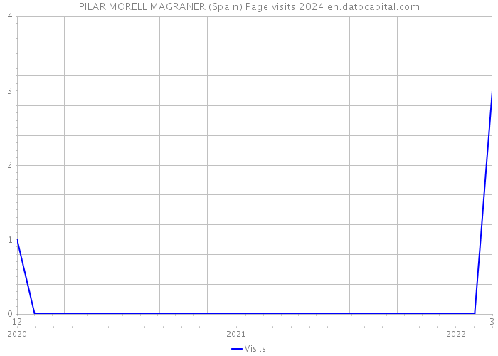 PILAR MORELL MAGRANER (Spain) Page visits 2024 