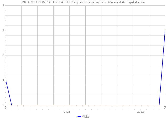 RICARDO DOMINGUEZ CABELLO (Spain) Page visits 2024 
