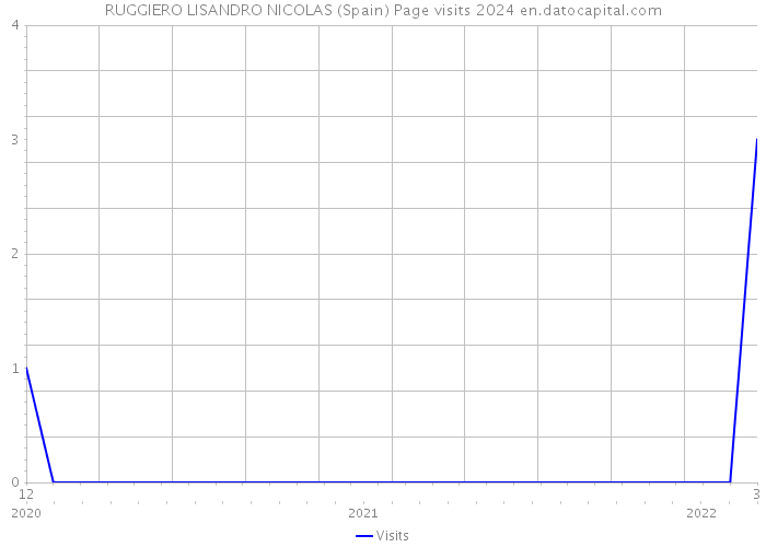 RUGGIERO LISANDRO NICOLAS (Spain) Page visits 2024 
