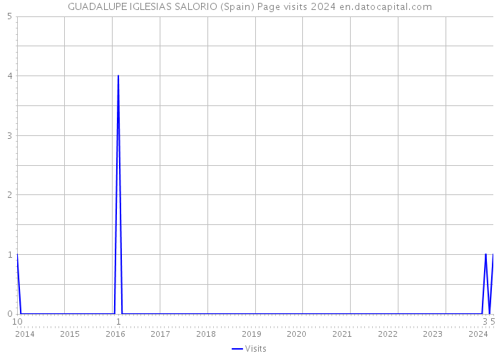 GUADALUPE IGLESIAS SALORIO (Spain) Page visits 2024 