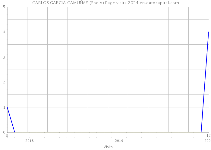 CARLOS GARCIA CAMUÑAS (Spain) Page visits 2024 