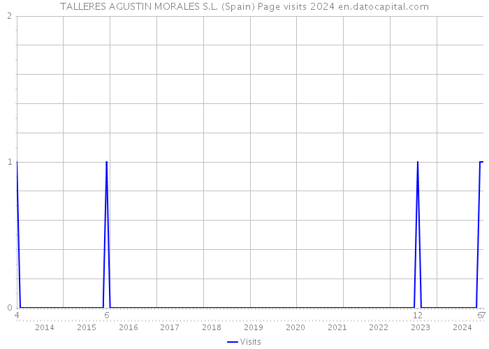 TALLERES AGUSTIN MORALES S.L. (Spain) Page visits 2024 