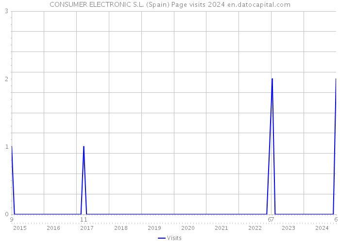 CONSUMER ELECTRONIC S.L. (Spain) Page visits 2024 