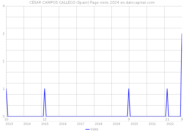 CESAR CAMPOS GALLEGO (Spain) Page visits 2024 