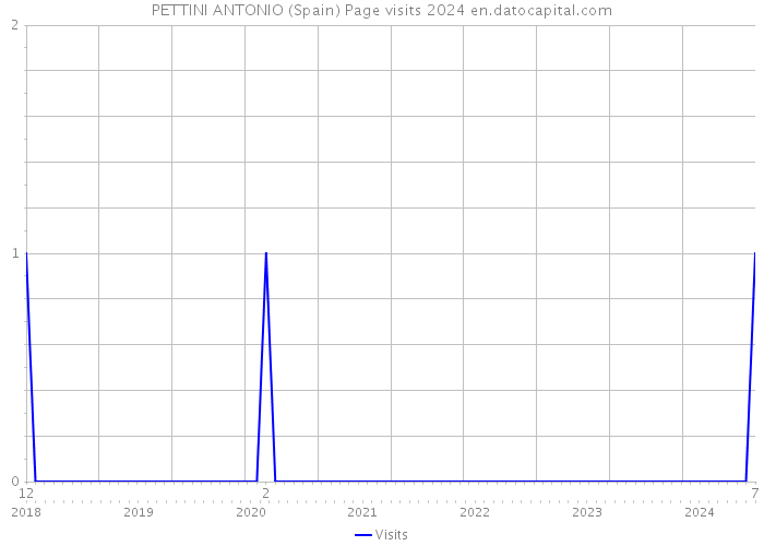 PETTINI ANTONIO (Spain) Page visits 2024 
