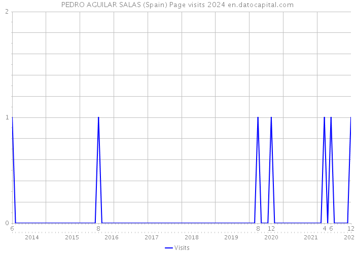 PEDRO AGUILAR SALAS (Spain) Page visits 2024 