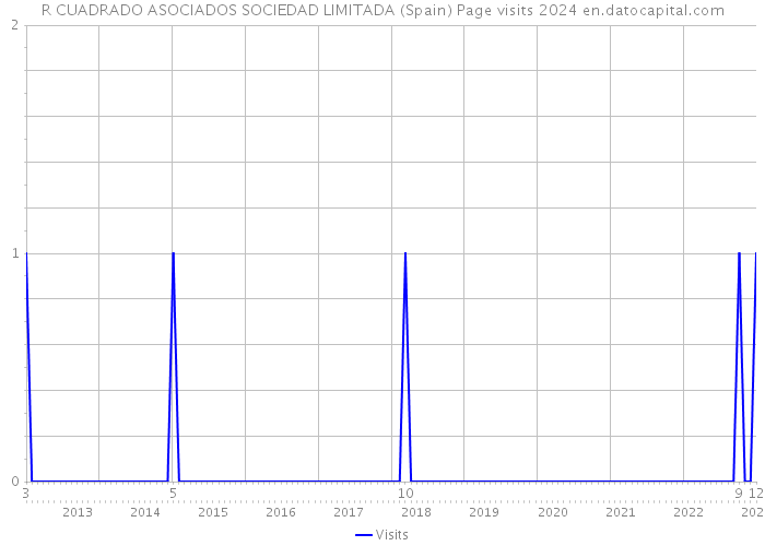 R CUADRADO ASOCIADOS SOCIEDAD LIMITADA (Spain) Page visits 2024 